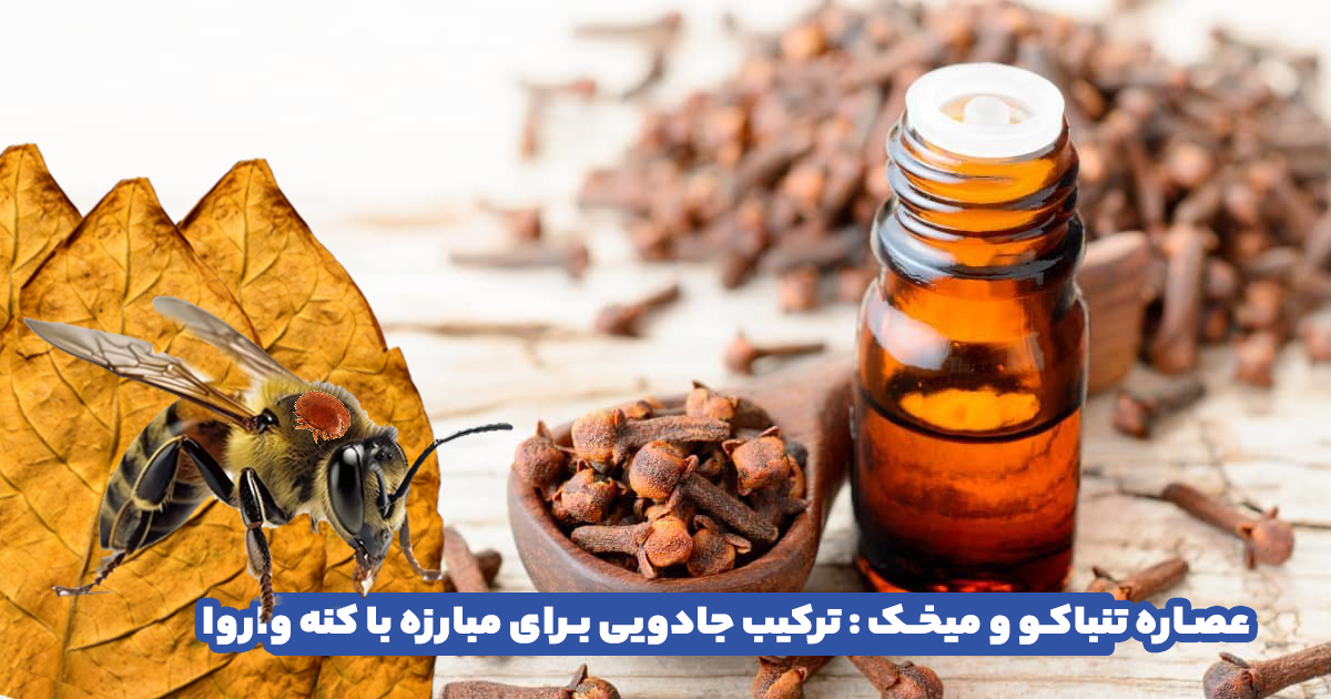 The magic combination to fight Varroa mites: tobacco and clove extract